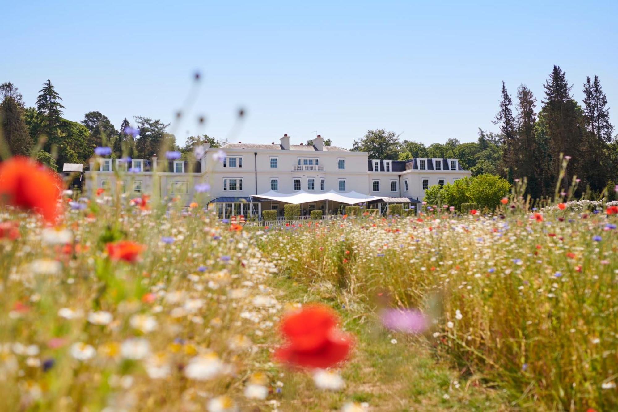 Coworth Park - Dorchester Collection Ascot  Exteriér fotografie