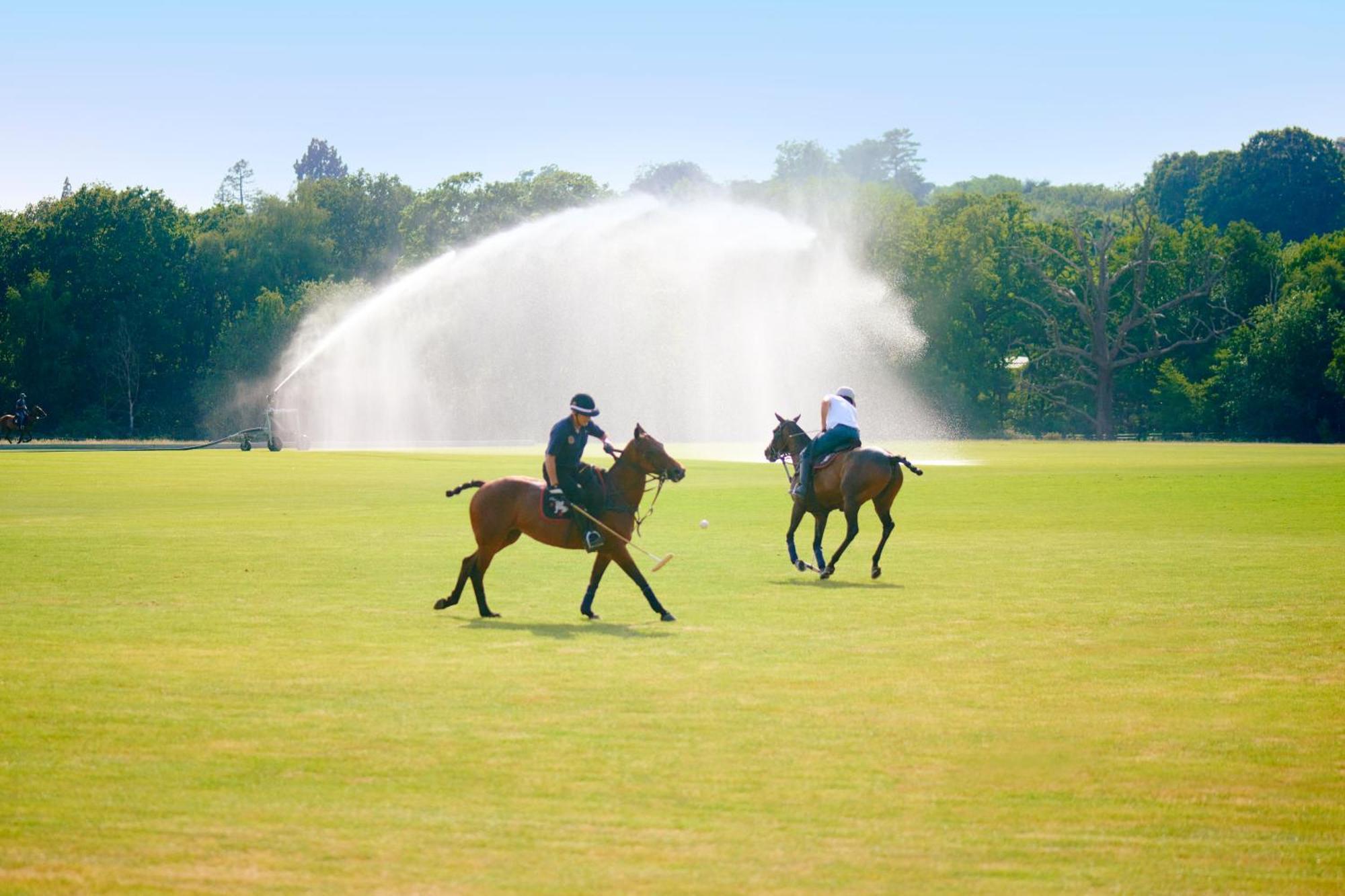 Coworth Park - Dorchester Collection Ascot  Exteriér fotografie